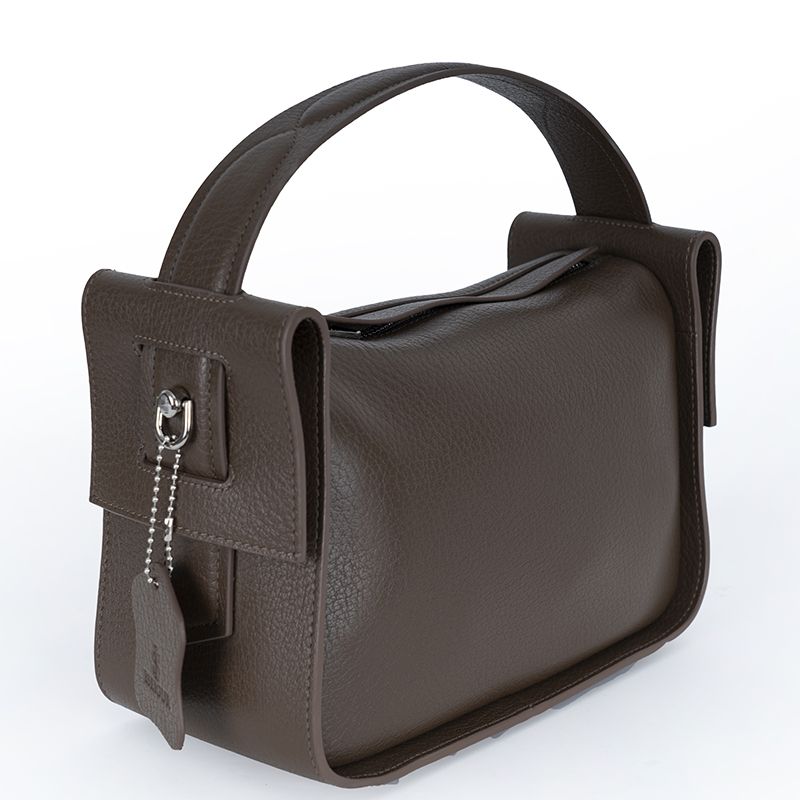 Brown Handbag