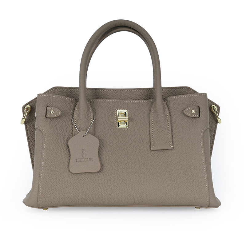 Fog Gray Gold-Buckle Handbag