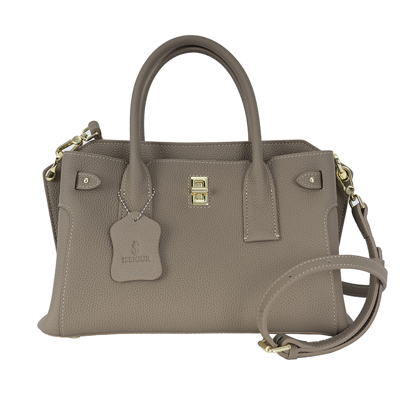 Fog Gray Gold-Buckle Handbag